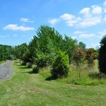 Hookwood Lodge Hotel Gatwick